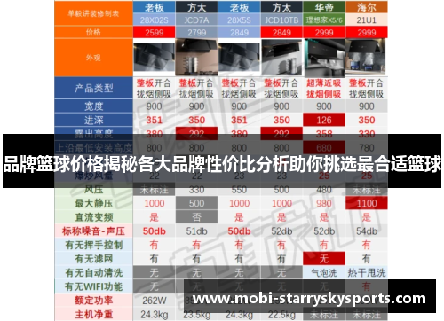 品牌篮球价格揭秘各大品牌性价比分析助你挑选最合适篮球