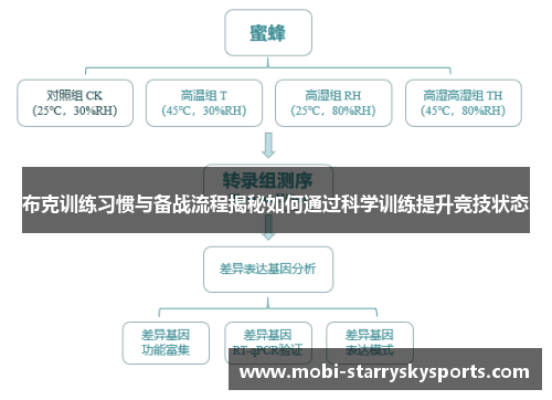 布克训练习惯与备战流程揭秘如何通过科学训练提升竞技状态