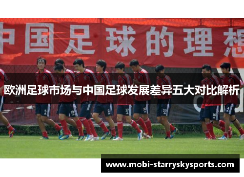 欧洲足球市场与中国足球发展差异五大对比解析