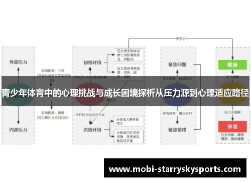 青少年体育中的心理挑战与成长困境探析从压力源到心理适应路径