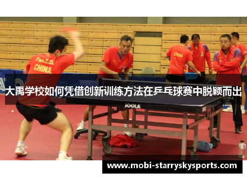 大禹学校如何凭借创新训练方法在乒乓球赛中脱颖而出