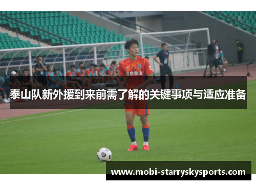 泰山队新外援到来前需了解的关键事项与适应准备