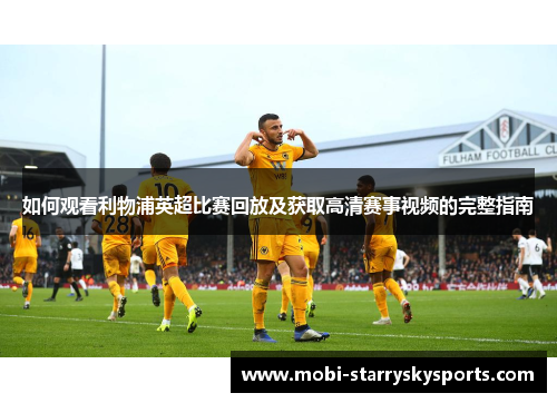 如何观看利物浦英超比赛回放及获取高清赛事视频的完整指南