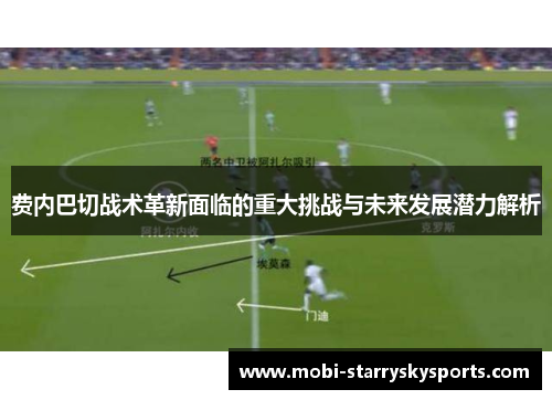 费内巴切战术革新面临的重大挑战与未来发展潜力解析