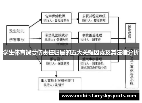 学生体育课受伤责任归属的五大关键因素及其法律分析