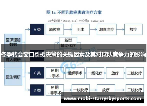 冬季转会窗口引援决策的关键因素及其对球队竞争力的影响