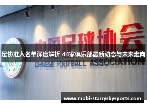 足协准入名单深度解析 44家俱乐部最新动态与未来走向