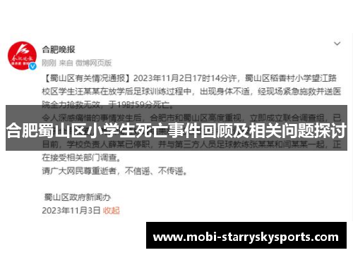 合肥蜀山区小学生死亡事件回顾及相关问题探讨