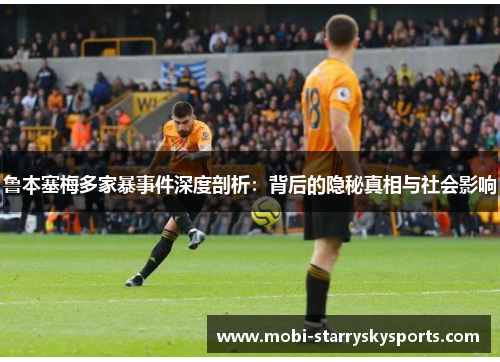 鲁本塞梅多家暴事件深度剖析：背后的隐秘真相与社会影响