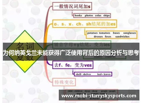为何纳英戈兰未能获得广泛使用背后的原因分析与思考