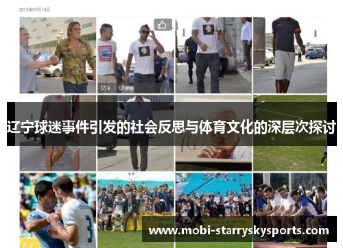 辽宁球迷事件引发的社会反思与体育文化的深层次探讨